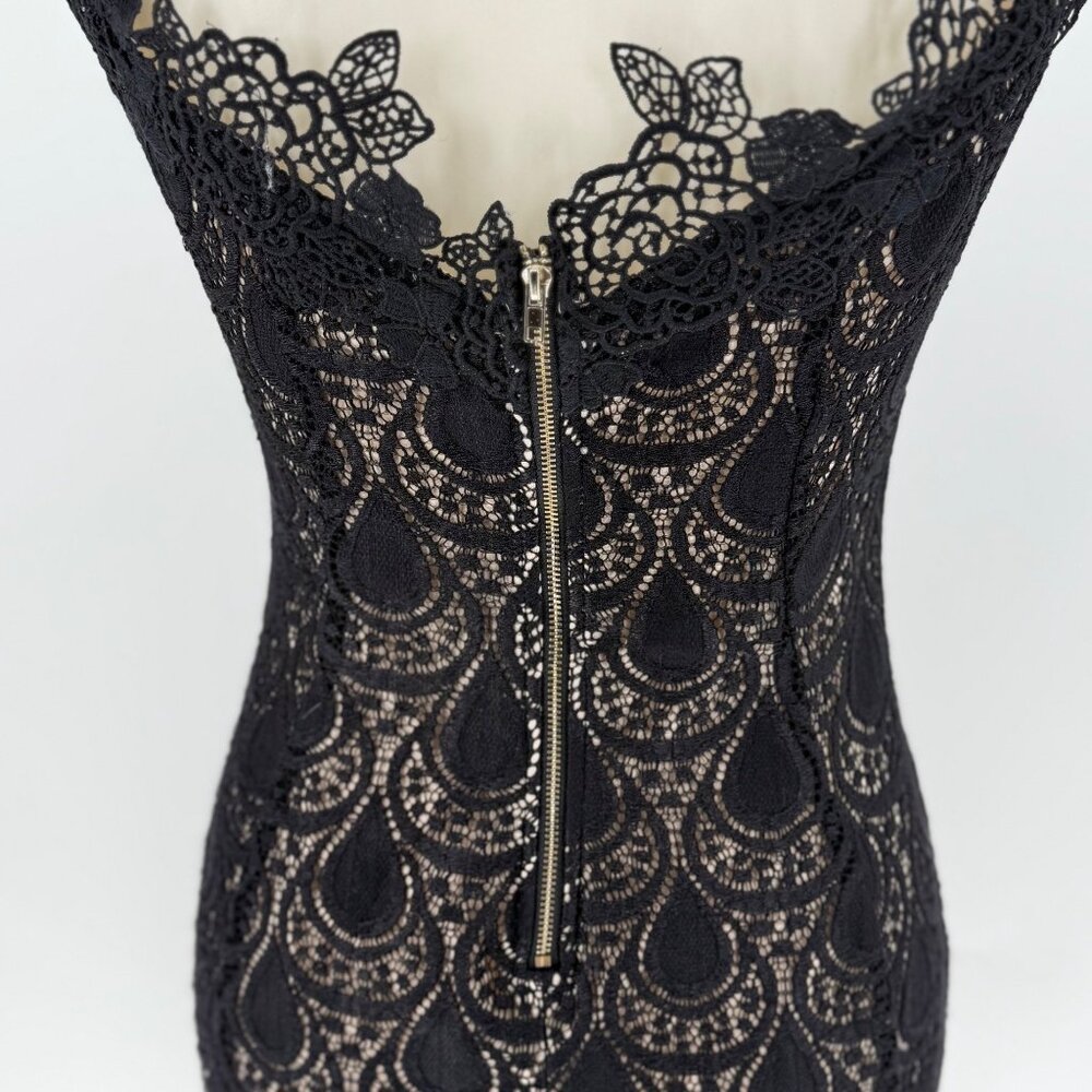 Papaya Womens Black Lace Dress Large Nylon Spandex Blend - Picture 6 of 9